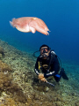 Cuttlefish with my guide Wayan. Olympus E330, 8mm fisheye, 2 Ikelite DS125 strobes. 